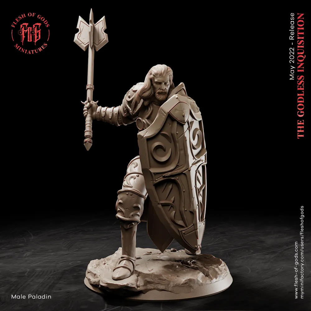 Hero Male Paladin