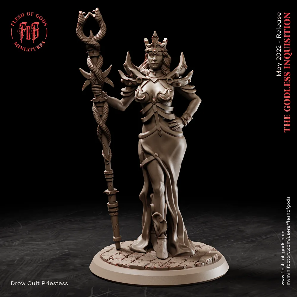 Villain Drow Cult Priestess